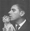 gerard reve and cats rule the world