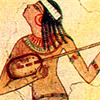lute