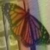 Hope Butterfly
