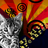 'my kitty brethren' / pic: cat on a bg of AZ flag