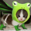 Super Froggity