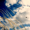by photographis on lj