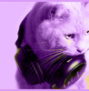 Violet Cat With Headphones
