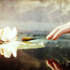 Reach for the lotus with your hand