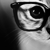 hipster cat | credit to loveviolently @ lj