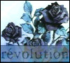 revolution