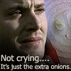 ExtraOnions Icon