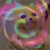 DewRiddy's Kitty
