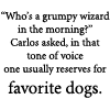 "Who's a grumpy wizard?" Carlos asked.