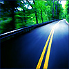 two-lane road winds through damp trees--mysthaven
