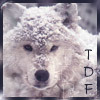 TDF Winter Wolf