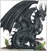 Year of the Dragon
