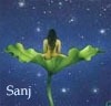 Sanj = woman sitting in a lotus leaf, in space