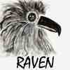 my sumi-e portrait of Haida Raven, sun-releaser