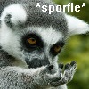 Lemur with a hand to its face.  Text: *sporfle*