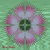 Pink and green stylized carnation
