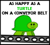happy turtle!