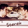 Sterek
