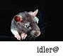 idler@