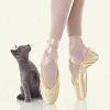Russian Blue kitten and ballerina
