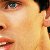 Merlin by MYGREENGARDEN