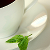 A sprig of mint by a teacup