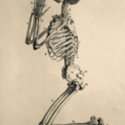 Kneeling Skeleton 600x800.jpg