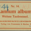 Printer ticket : Lamium album