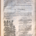 The Herball or Generall Historie of Plantes