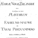 Primitiae Florae Novae Zelandiae [First Fruits of the Flora of New Zealand]