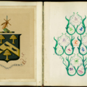 Heraldic Album