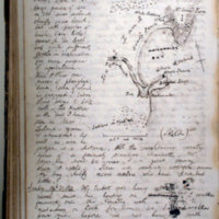 J.W. Barnicoat, Journals &amp; diary.