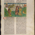 [German Bible]