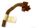Raustorium