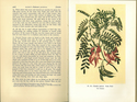 The Endeavour Journal of Joseph Banks: 1768-1771. Vol. I