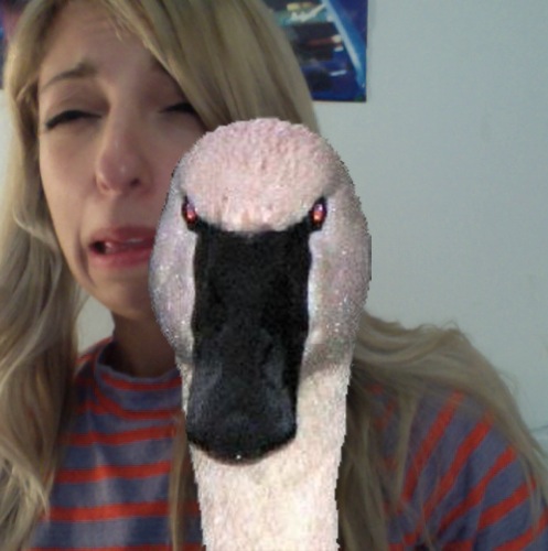 1354597246-the-swan-kmeizner20121204-2-51gi40