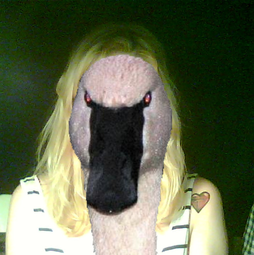 1354916404-the-swan20121207-7-9t6vom