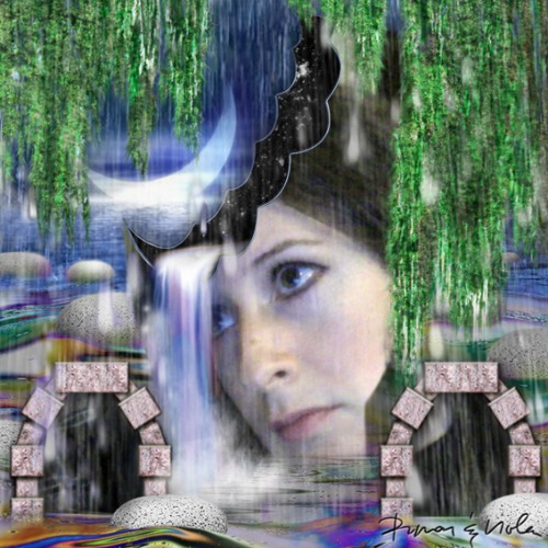 1361310138-pinar-and-viola-swamps20130219-7-14581fs
