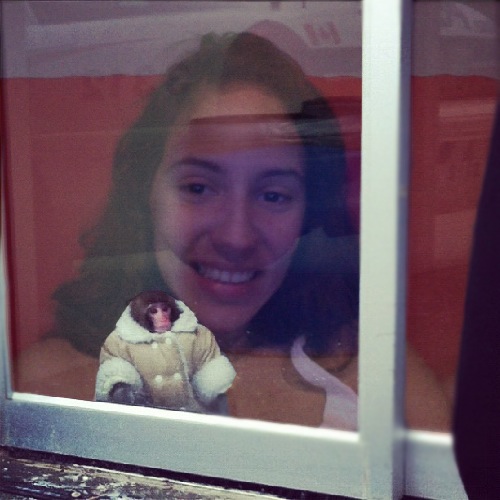 1363036391-ikea-monkey20130311-19-1lp361s