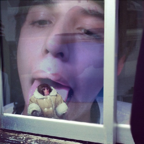 1363393394-ikea-monkey-michaelcachu20130316-7-5bxg58