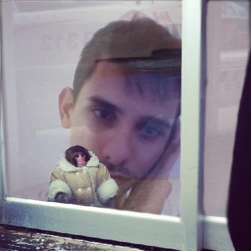 1363786213-ikea-monkey20130320-13-1r1citi