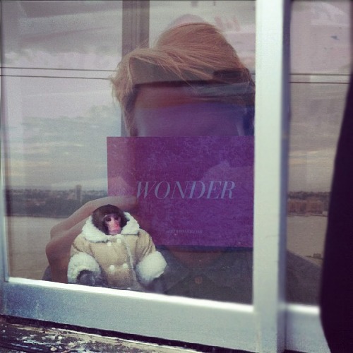1363788587-ikea-monkey20130320-25-1adlo0b
