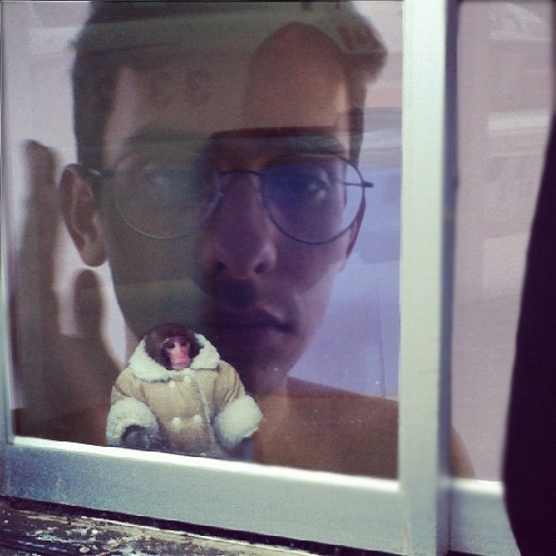 1364747906-ikea-monkey20130331-13-1vp4cw0