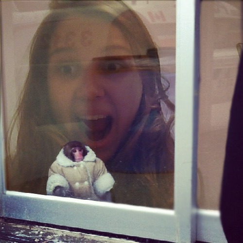 1364946799-ikea-monkey20130402-7-dk7rs4