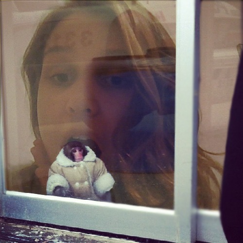 1364946846-ikea-monkey20130402-25-9lvny1