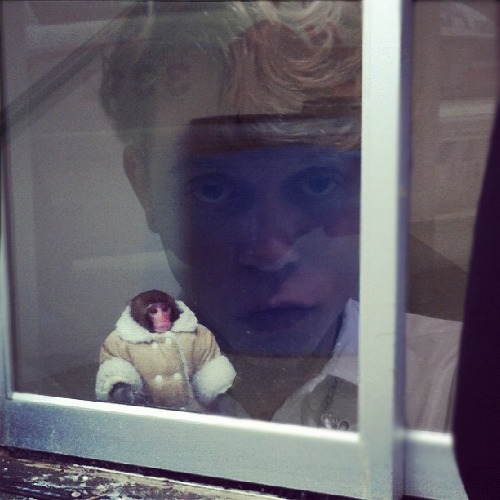 1365478188-ikea-monkey20130409-19-14j04rd