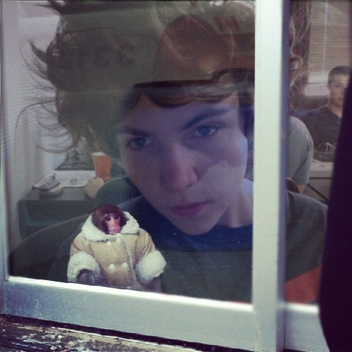 1365533255-ikea-monkey20130409-13-dnkj7p