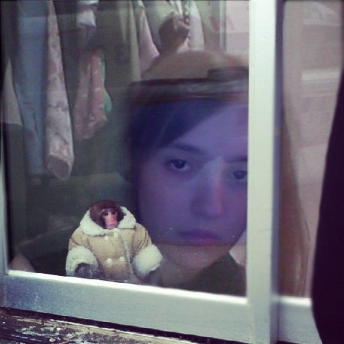 1366935089-ikea-monkey20130426-13-1wcsc9c