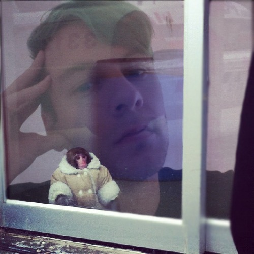1367762250-ikea-monkey20130505-7-lx93k4