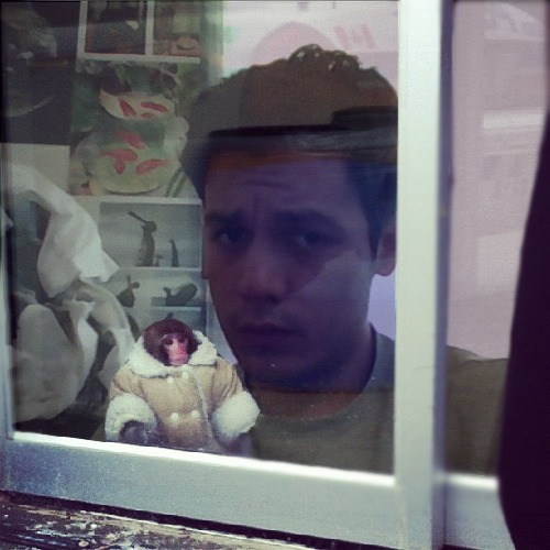 1368134010-ikea-monkey20130509-25-1aklwht
